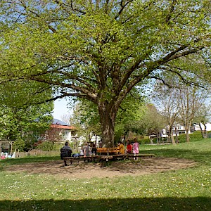 Fleißige Elterngruppe bringt Schulgarten auf Vordermann.