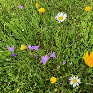 Zur Traumwiese nach Wörnstorf unterwegs